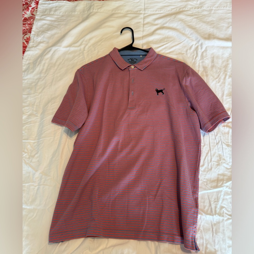 Black dog Polo